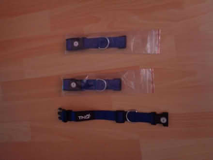 Photo of free Dog Collar (Brockwell Park SW2) #1
