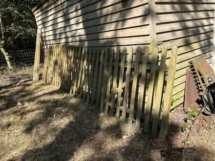 Photo of free 4 foot picket fence panels and gate (Shipley RH13) #1