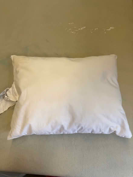 Photo of free 12”x16” fiber fill pillow (Oakland near lake Merritt) #1