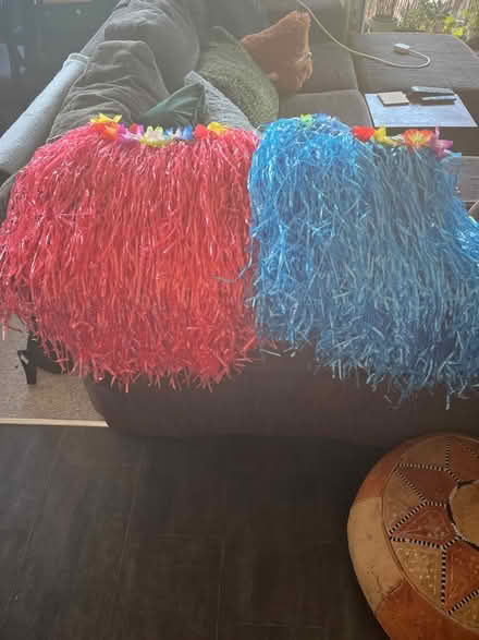 Photo of free Two dressing up hula skirts with accessories (Emerson's Green BS16) #2