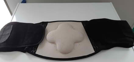 Photo of free Back brace (Farmington Hills) #1