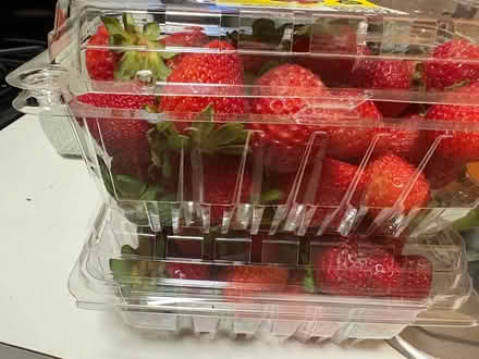Photo of free Strawberries (Harlem) #1