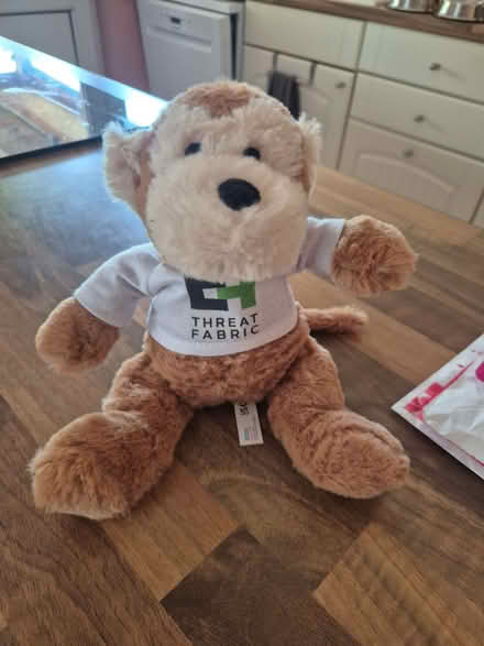 Photo of free Soft toy - monkey (Woosehill RG41) #1