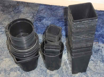 Photo of free Growing pots (Langley SL3) #1