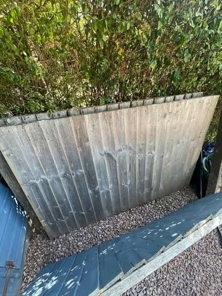 Photo of free 4ft fence panels (4) and posts (Franche road DY115) #1