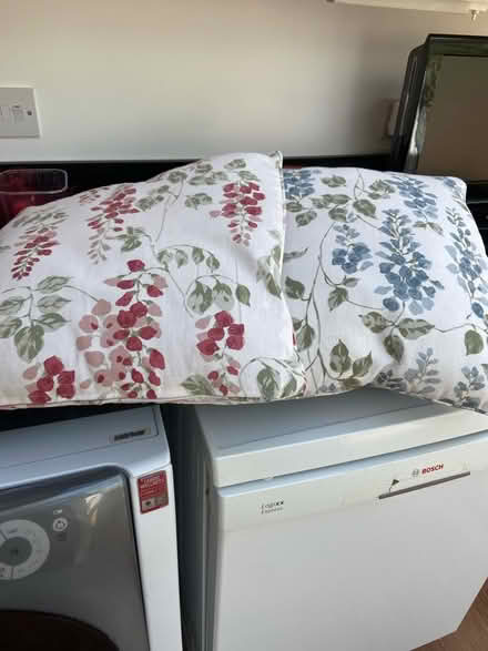 Photo of free 2 cushions (Loose, Maidstone ME15) #3