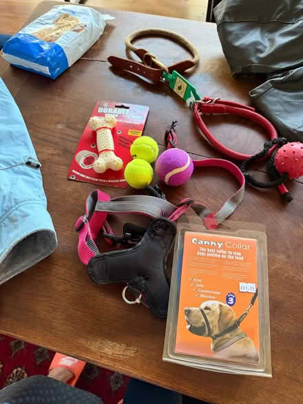 Photo of free Dog items - toys, lead, harness, collars, training pads (Old Road OX3) #1
