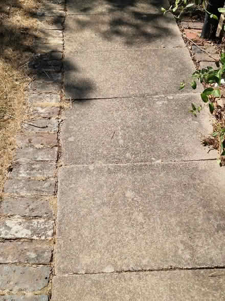 Photo of free Concrete pavers and bricks (Brenchley TN12) #1