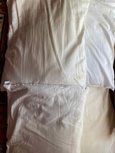 Photo of free Pillows - 1 firm neck pillow and 4 polyester pillows (Kendal LA9) #1