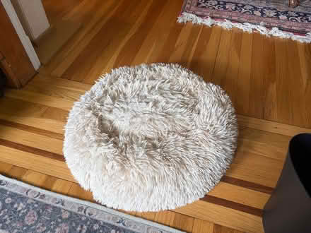 Photo of free Calming Cat/Dog Bed (Lexington center) #1