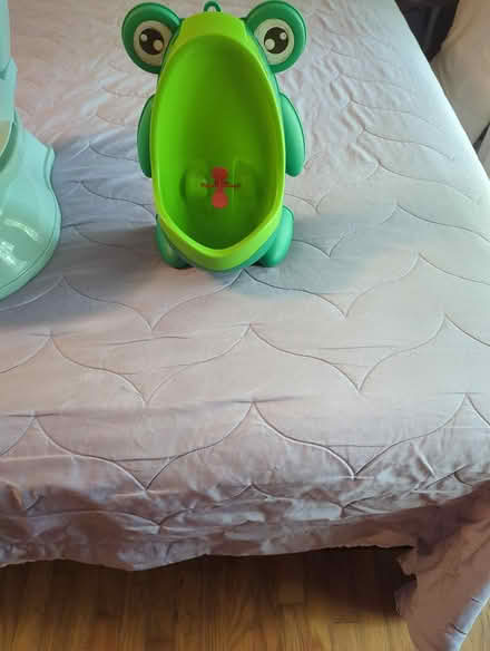 Photo of free Boys potty training (West Buckhead) #1
