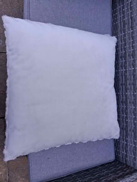 Photo of free Cream, fluffy patterned cushion (Wildridings RG12) #3