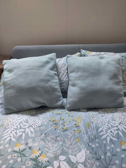 Photo of free Two cushions with blue covers (Bruntsfield EH3) #1