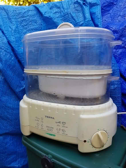 Photo of free Tefal steamer (Berkhamsted HP4) #2