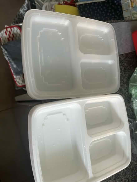 Photo of free TV dinner trays (Orleans) #1