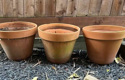 Photo of free Five Terracotta Pots (Sir Francis Drake near Redhill) #1