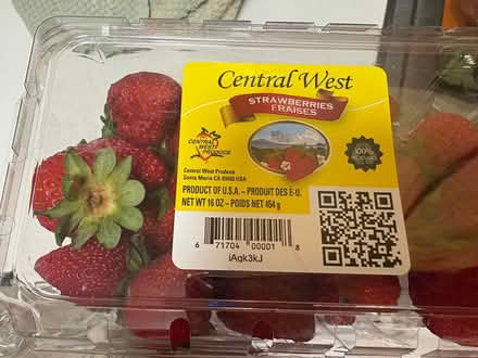 Photo of free Strawberries (Harlem) #2