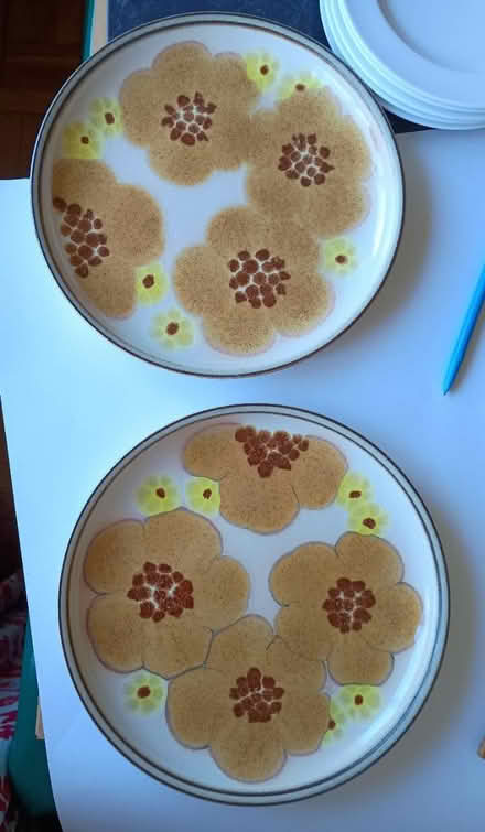 Photo of free Vintage Denby dinner plates (Thorpe Bay SS1) #4
