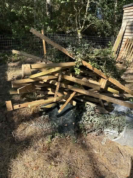 Photo of free Wood (Shipley RH13) #1