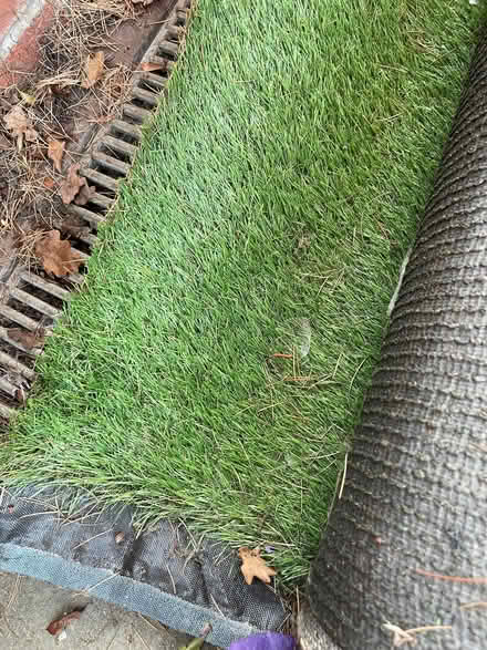 Photo of free Large roll of astroturf (Gipsy Hill SE19) #3