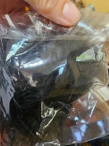 Photo of free black fuzzy reuseable pasties (Harvard Square, Cambridge) #2