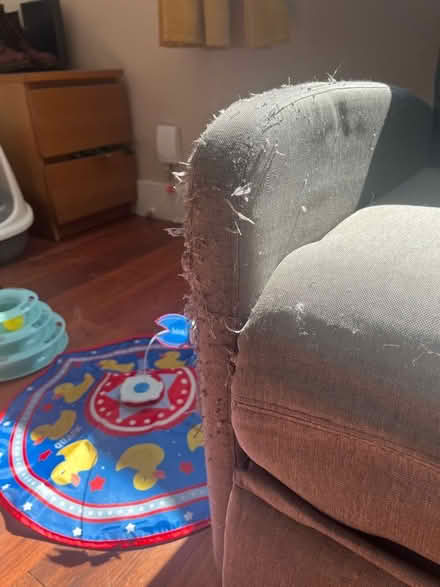 Photo of free Reclining Armchair (used with scratches) (Queen's Park BN2) #4