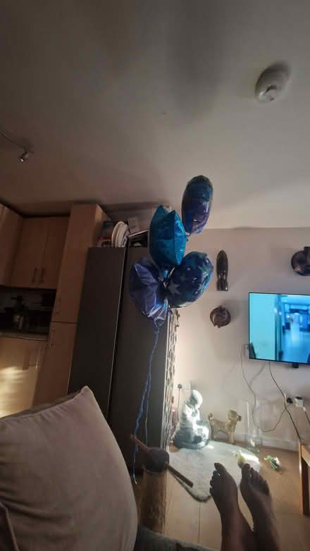 Photo of free 1 year old balloons. (East Acton W3) #1