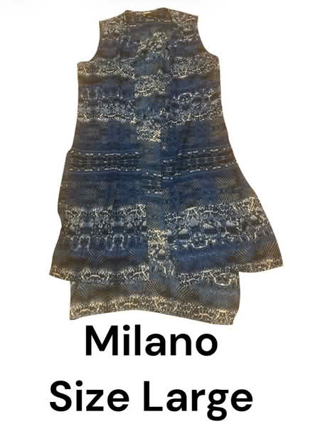 Photo of free Milano Women’s Dress (Brooklyn Storage) #1