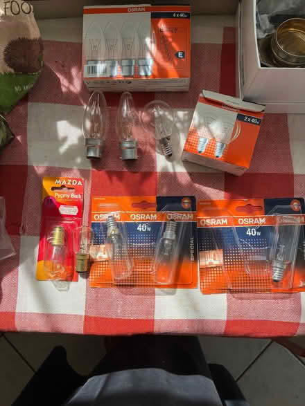 Photo of free Incandescent Bulbs (Faversham ME13) #1