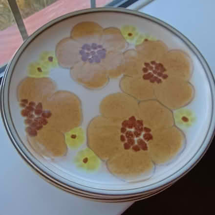 Photo of free Vintage Denby dinner plates (Thorpe Bay SS1) #1