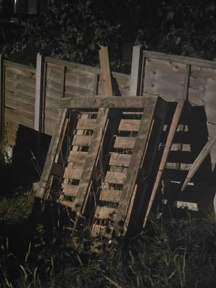 Photo of free Pallets (Barton OX3) #1