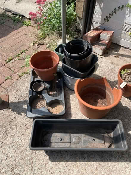 Photo of free Various plant pots (S7 Carter knowle) #1