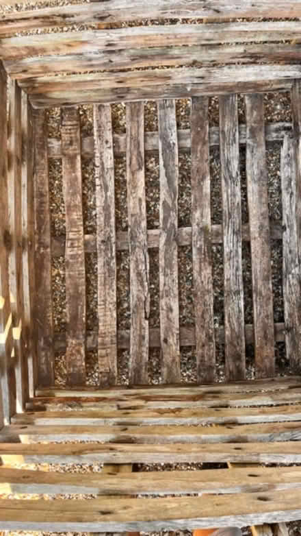 Photo of free Large wooden crate (Letchworth) #3