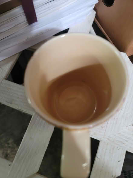 Photo of free Coffee cup (Huntington MA) #1