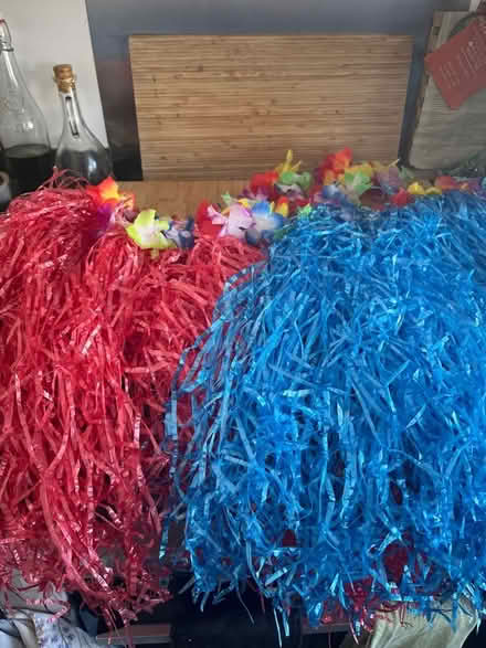 Photo of free Two dressing up hula skirts with accessories (Emerson's Green BS16) #1