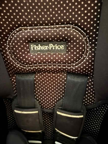 Photo of free car seat with newborn insert (Eastbourne BN22) #2