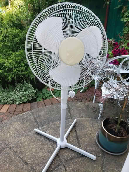 Photo of free Pedestal fan (Horsforth LS18) #1