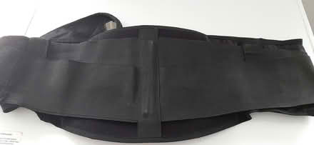 Photo of free Back brace (Farmington Hills) #2