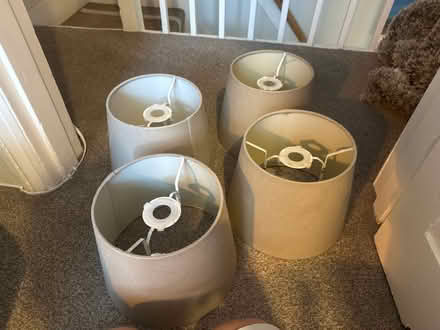 Photo of free Lampshades (Central Reading RG1) #1