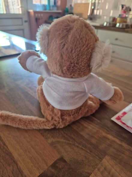 Photo of free Soft toy - monkey (Woosehill RG41) #2