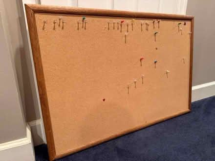 Photo of free Cork board (Vienna) #1