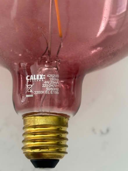 Photo of free Large decorative light bulbs (Priors Estate IP33) #3