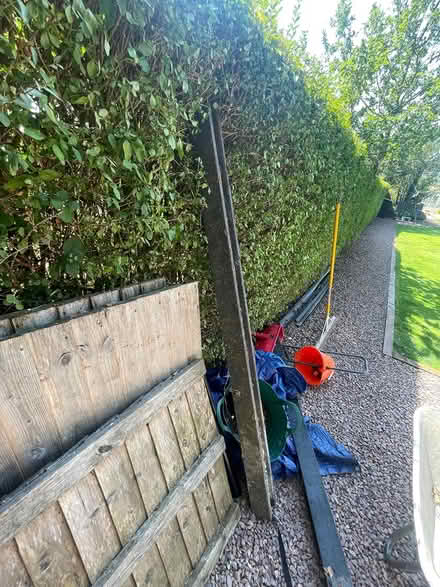Photo of free 4ft fence panels (4) and posts (Franche road DY115) #2