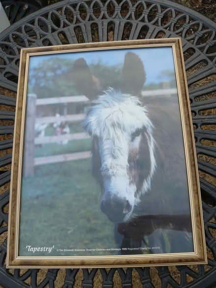 Photo of free Framed glazed picture of a donkey H:17" W:13" (Kempsey WR5) #1