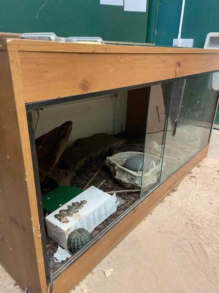 Photo of free Vivarium (Blackawton) #3