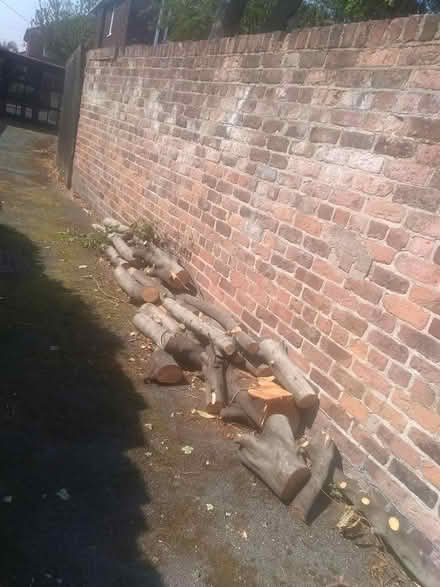 Photo of free Logs (Poulton CH44) #1