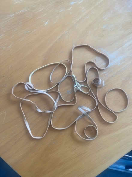 Photo of free 12x rubber bands (Lamorbey DA14) #1