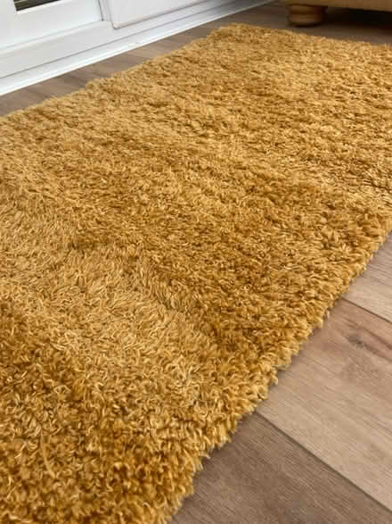 Photo of free Yellow Ochre Shaggy Soft Rug (Cambridge) #1