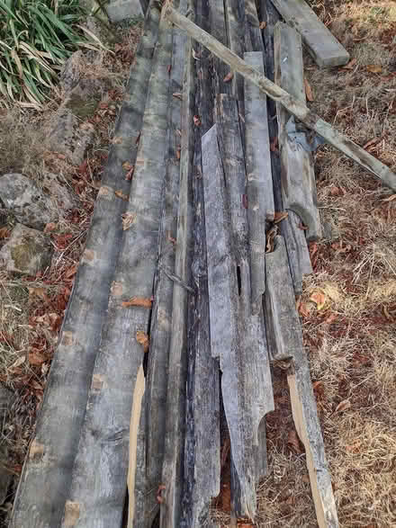 Photo of free Solid wood (Sherwood NG5) #1