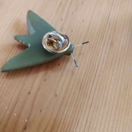 Photo of free Hawk Moth Pin Brooch (Rayleigh SS6) #3